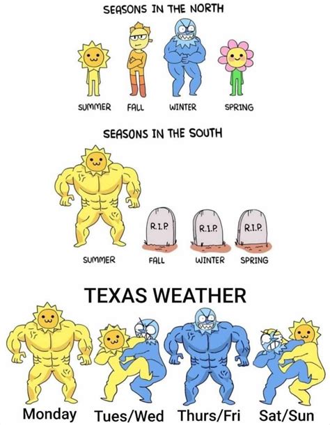 Texas weather | Funny memes, Stupid funny memes, Funny comics