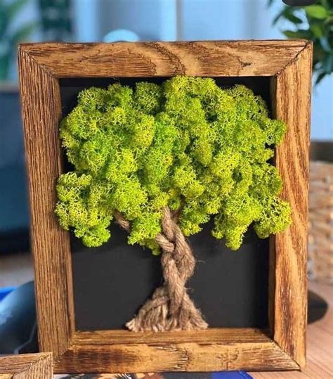 Scandinavian moss wall art living moss wall art natural moss etsy – Artofit