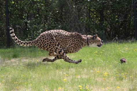 Image result for Python List Iteration