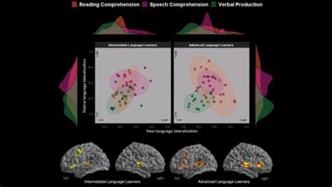 Learning a Second Language 的图像结果