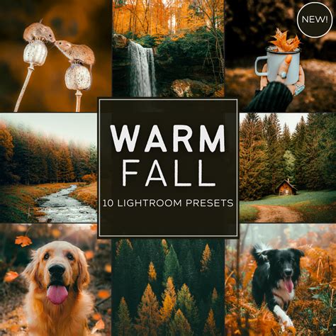 Top 36+ Lightroom Warm Presets Pack