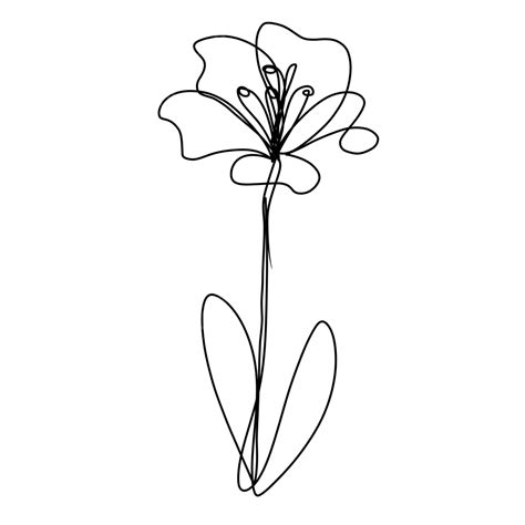 Flower Line Art, Flower Drawing, Flower Sketch, Hibiscus PNG ...