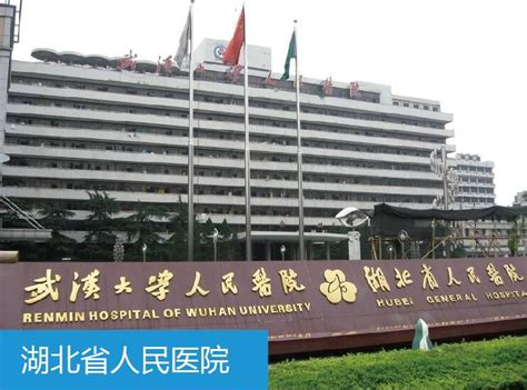 湖北省人民医院 - 医用气动物流自动化解决方案 - 北京深浅（集团）公司