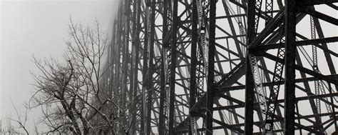 Download wallpaper 2560x1024 construction, tree, branches, fog, black ...