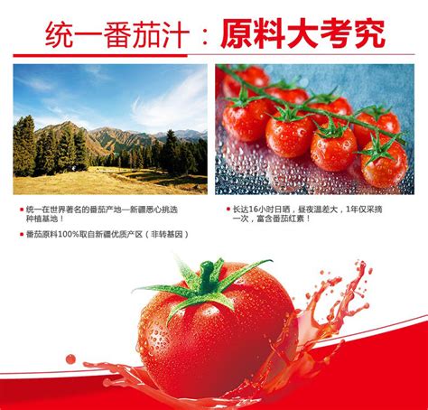 青岛现货供应优质番茄丁 番茄滋味 多种规格番茄丁-阿里巴巴