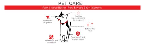 Buy Pet & Parents Pap 2 in 1 Anti-tick Tearless (Shampoo + Conditioner ...