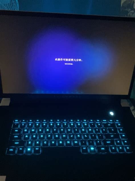 Alienware R17 的图像结果