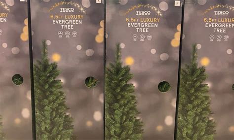 Britons rage over 'woke' Tesco's decision to rename Christmas trees as ...