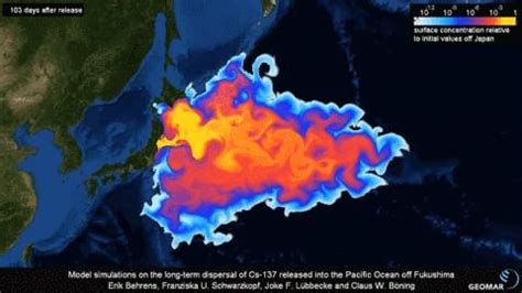 从2战到排核废水 日本人“不负责”民族性的形成_凤凰网