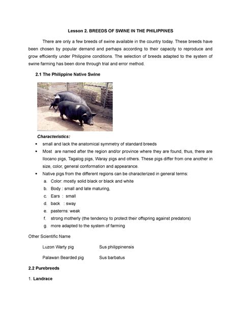 Lesson 2. Breeds OF Swine IN THE Philippines - Lesson 2. BREEDS OF ...