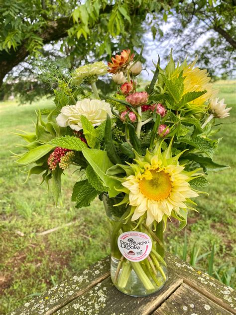 Pick-Your-Own Flowers | Bold Spring Blooms