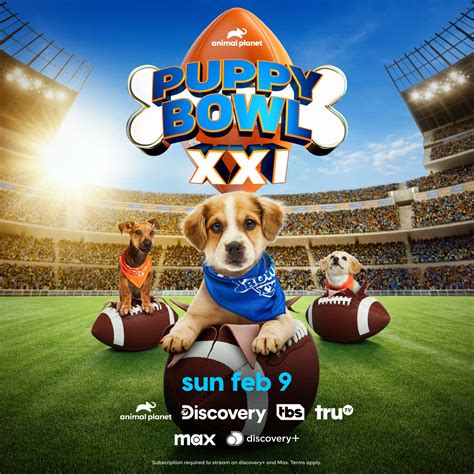award shows: puppy bowl 2025