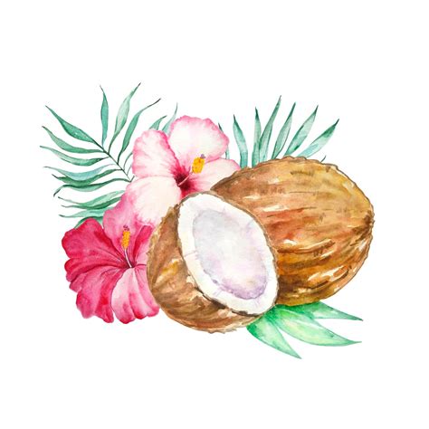 Premium Vector | Watercolor coconut with tropical flowers