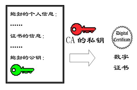 数字签名工具下载_数字签名工具官方免费下载_2024最新版_华军软件园