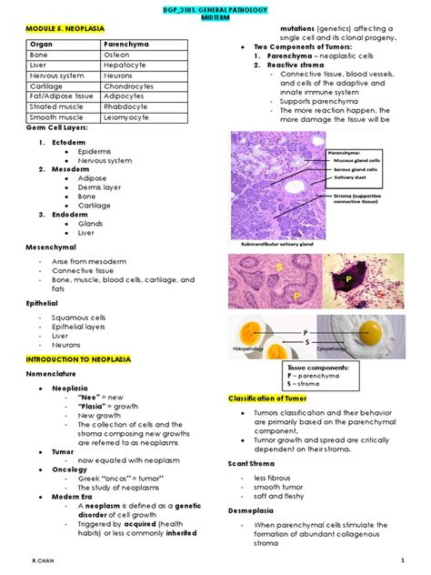 Image result for Tutorial of Neoplasm Table