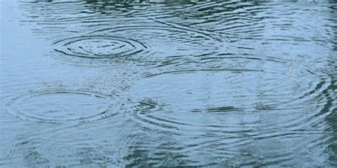 雨水三候是什么意思 雨水分为哪三候_万年历