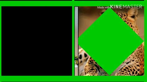 Kinemaster Green screen 的图像结果