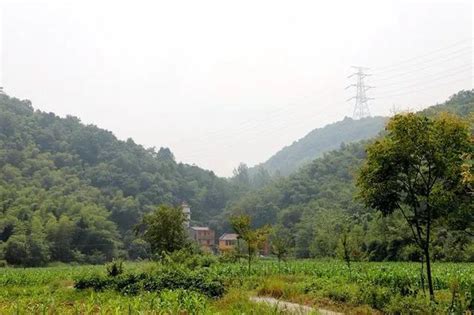 长江芜湖段水位持续上涨_芜湖市人民政府