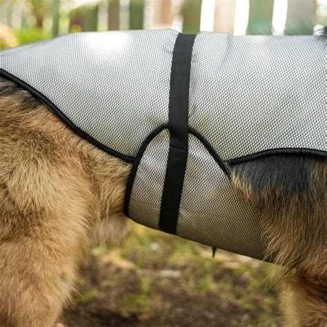 Buy Cooling Jacket for Dogs by Zoof Pets. Order Online for free Size ...