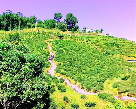 THE 5 BEST Places to Visit in Ilam (2025) - Must-See Attractions