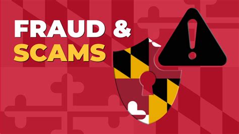 Insurance Fraud 的图像结果