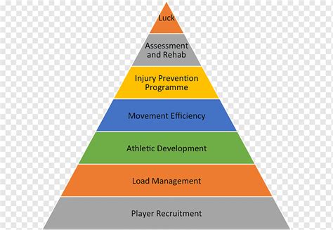 Organization Pyramid Structure 的图像结果