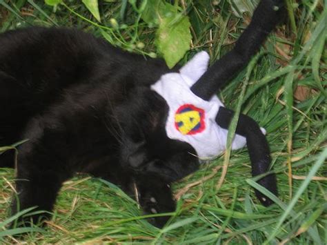 Random Contest Winners!