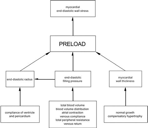 TOWARD CONSISTENT DEFINITIONS FOR PRELOAD AND AFTERLOAD | Advances in ...
