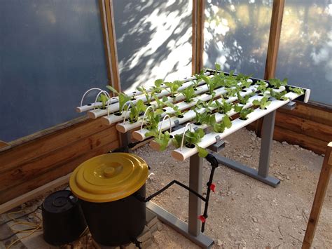 Diy Pvc Hydroponic Growing Systems