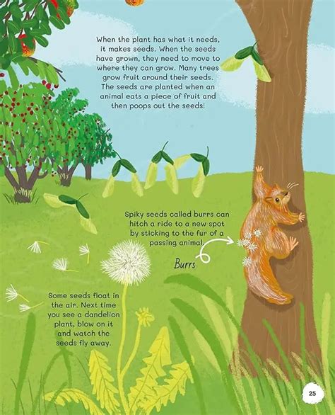 All About Trees | Hardcover – Books and You