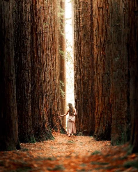 Diametrically Opposed Meaning