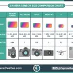 Camera Sensor Size Comparison Chart 的图像结果