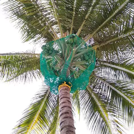 GBR Safety Nets | +91 9900770375