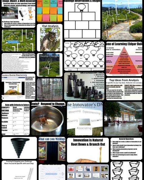 Innovation Program 的图像结果