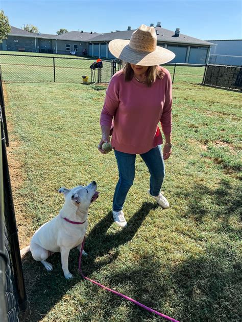 #dogs #community #daviesscounty #petadoption #cooperative #volunteer ...