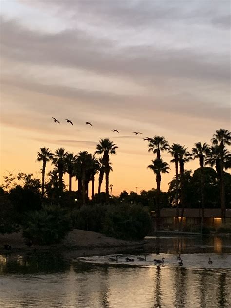 Lorenzi Park, Las Vegas | Las vegas living, Las vegas, Outdoor