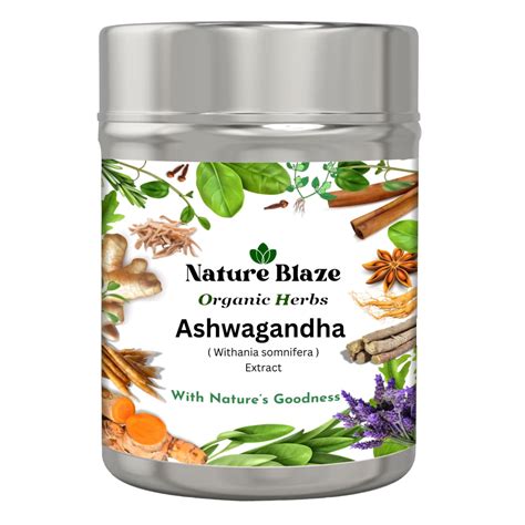 Buy Nature Blaze Ayurvedic Indian Ashwagandha Extract Powder in Steel ...