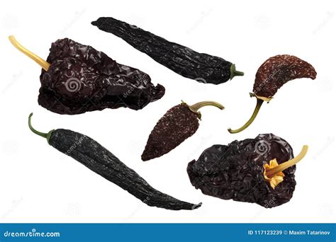 Ancho Mulato-dried Poblano Chiles, Paths Stock Image | CartoonDealer ...