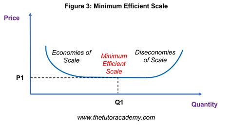 Minimum Efficient Scale
