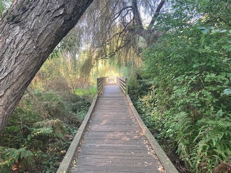 Juanita Bay Park - Rolling Washington