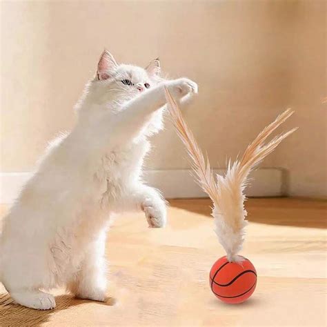 3pcs/Set Elastic Cat Toys With Feather Ball, Football, Basketball ...