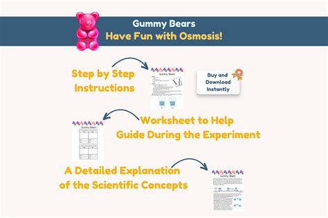Osmosis Experiment With Gummy Bears