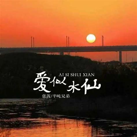 半吨兄弟 的图像结果