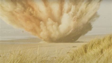 Shocking Whales Exploding Moments 的图像结果