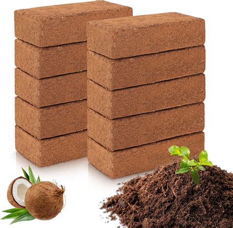 Amazon.com : 10 Pack Coco Coir Bricks for Plants - 100% Natural Organic ...