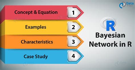 Bayesian Random Network 的图像结果