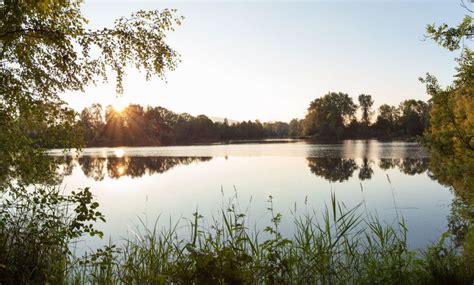 Hohenems | Urlaub am Bodensee, Vorarlberg