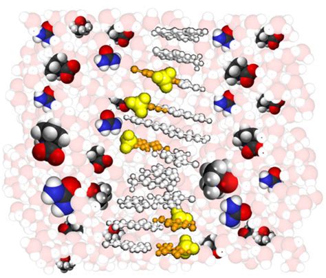 Combined Effects of Methylated Cytosine and Molecular Crowding on the ...