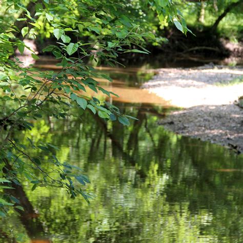 My picture pages: Hidden Pond Nature Center - Fairfax, Virginia