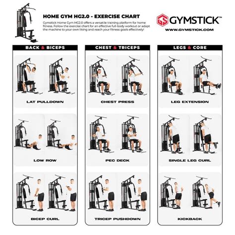 Gym Exercise Chart PDF 的图像结果